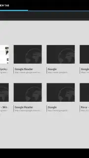 Tint Browser capture 2