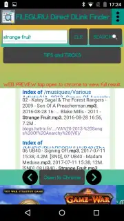 File Guru capture 2