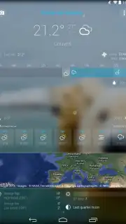 Bright Weather capture 2