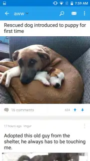 Reddit capture 7
