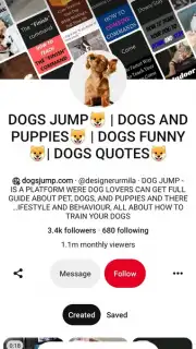 Pinterest capture 6
