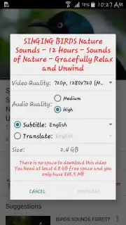 OGYouTube capture 6