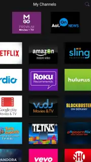 Roku capture 17