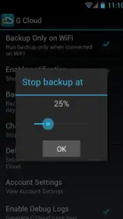 G Cloud Backup capture 6