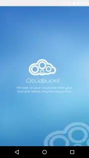 CloudBuckIt capture 2