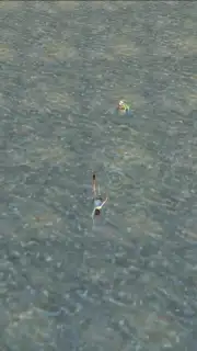 Polyma capture 8