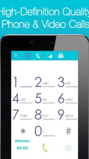 Voico capture 15