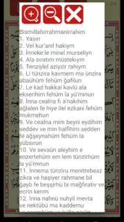 Yasin Suresi capture 3