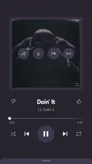 Vanced Music capture 9