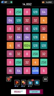 2248 Puzzle capture 4