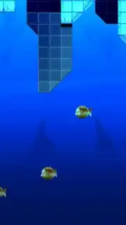 Adventure Beaks capture 2