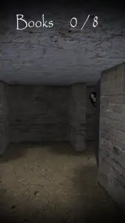Slendrina: The Cellar capture 4