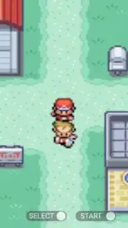 Pokemon Collection capture 3
