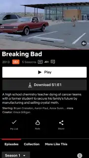 Netflix (Android TV) capture 15