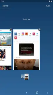 Opera Mini capture 6