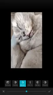 OnePlus Gallery capture 5