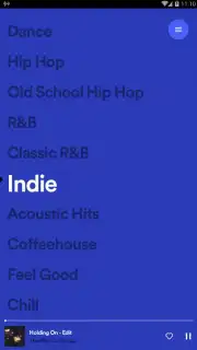Spotify Stations capture 12