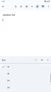 Google Docs capture 2