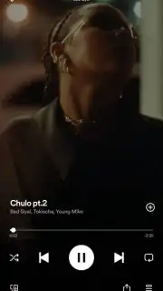 Spotify capture 4