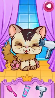 Pet Spa capture 5
