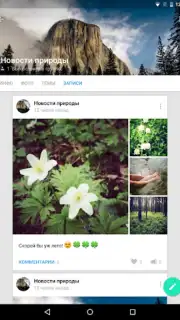 VK Amberfog capture 6