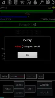 Random Adventure Roguelike capture 10