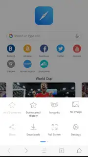 Mini Private Browser: Fast Search, Download, No Ad capture 3
