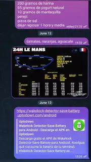 Telegram capture 3