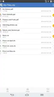 WinZip capture 2
