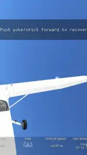 Infinite Flight capture 6