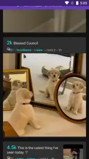 Flex capture 7
