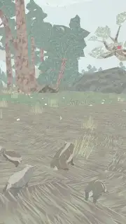 Shelter capture 6