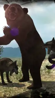 Real Bear Simulator capture 2