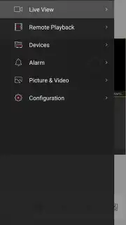 iVMS-4500 capture 9