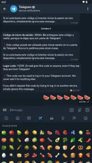 Telegram X capture 5