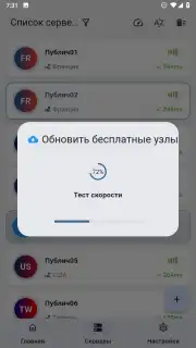 ZipVPN capture 5