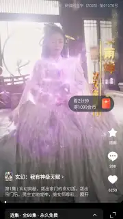 Hongguo capture 4