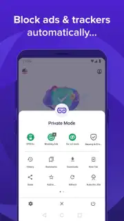 Avast Secure Browser capture 3