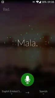 Microsoft Translator capture 5