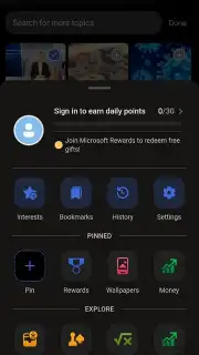 Bing capture 11