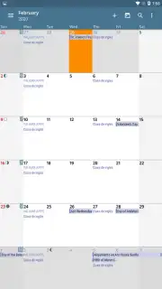 aCalendar capture 10