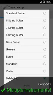 Pro Guitar Tuner capture 10