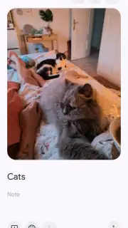 Google Keep capture 10