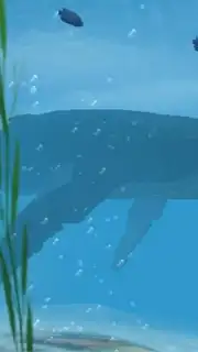 Sharks VR capture 3