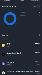 Binance capture 13