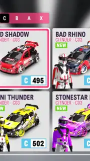 Rally Horizon capture 6