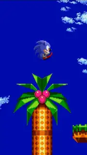 Sonic CD capture 3