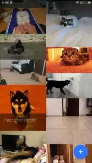 GfyCat capture 7