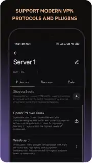 Amnezia VPN capture 5