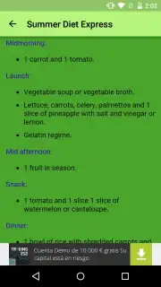 Summer Diet Express capture 1